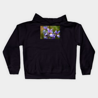 Blue Siberian irises Kids Hoodie